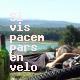 Si vis pacem pars en velo