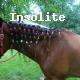Insolite