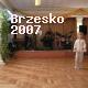 Brzesko 2007