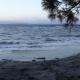Cavali in spiaggia