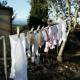 Le linge