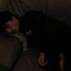 Too much vodka and kilometers (2)