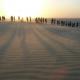 Dune (3)